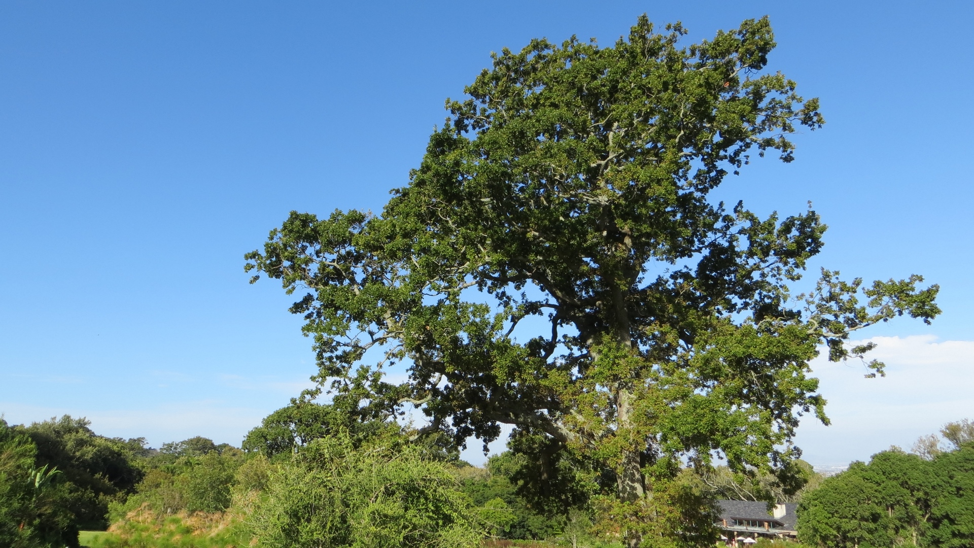 17.01.02 Sud Africa 73