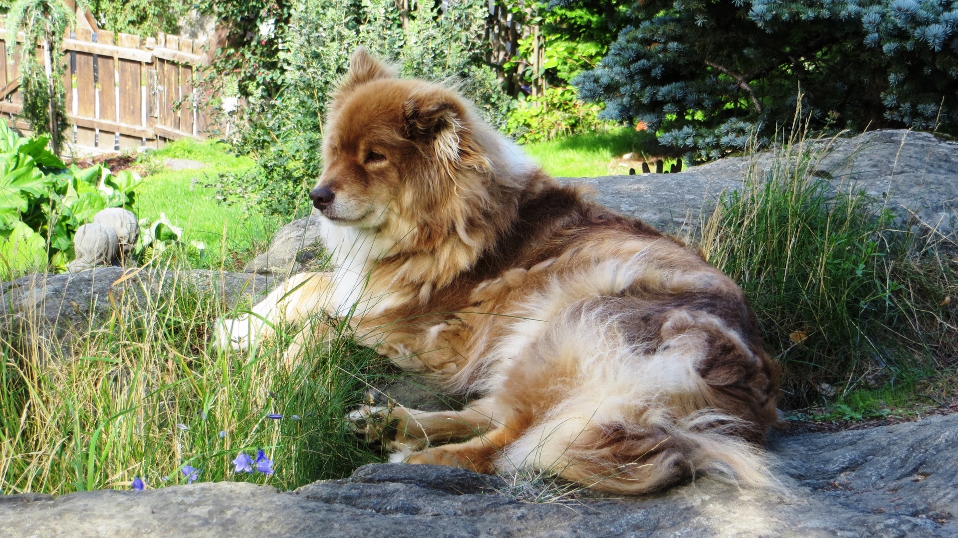 18.08.12 Røros Lom 07