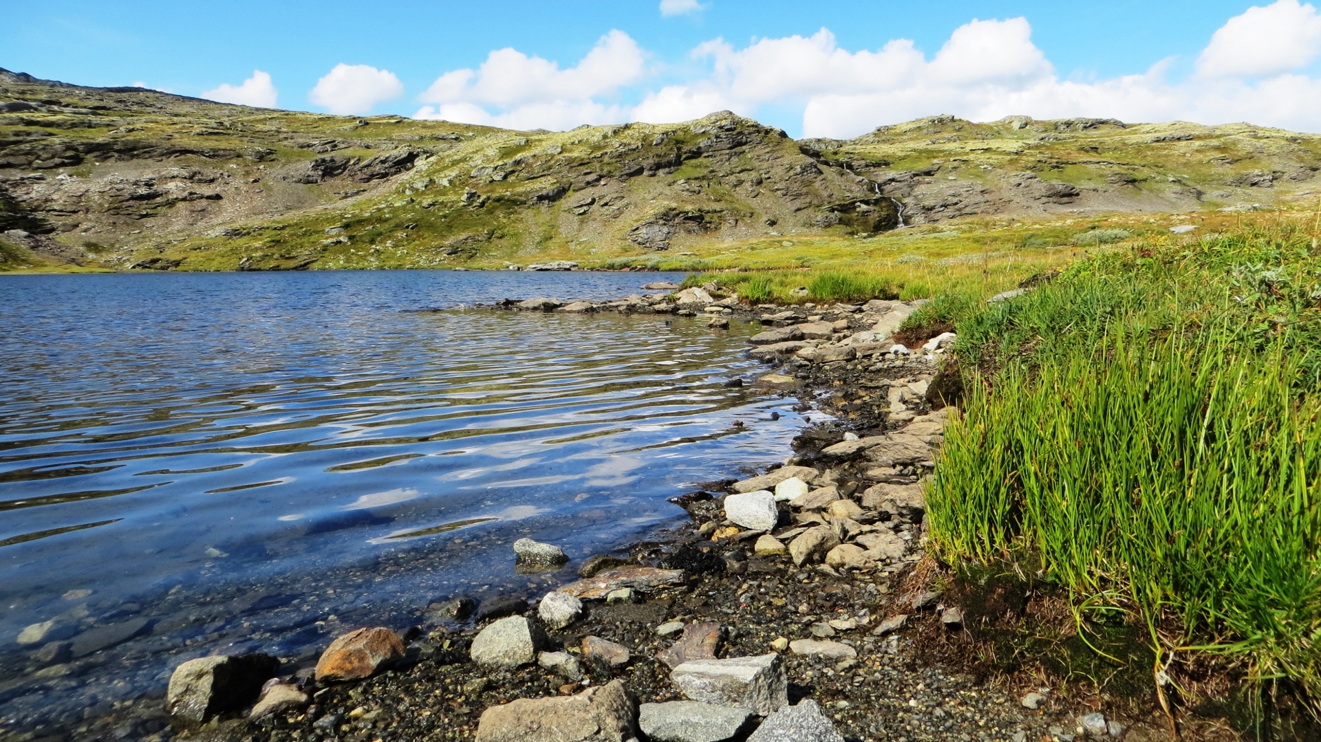 18.08.14 Bestebakken Bergen 16