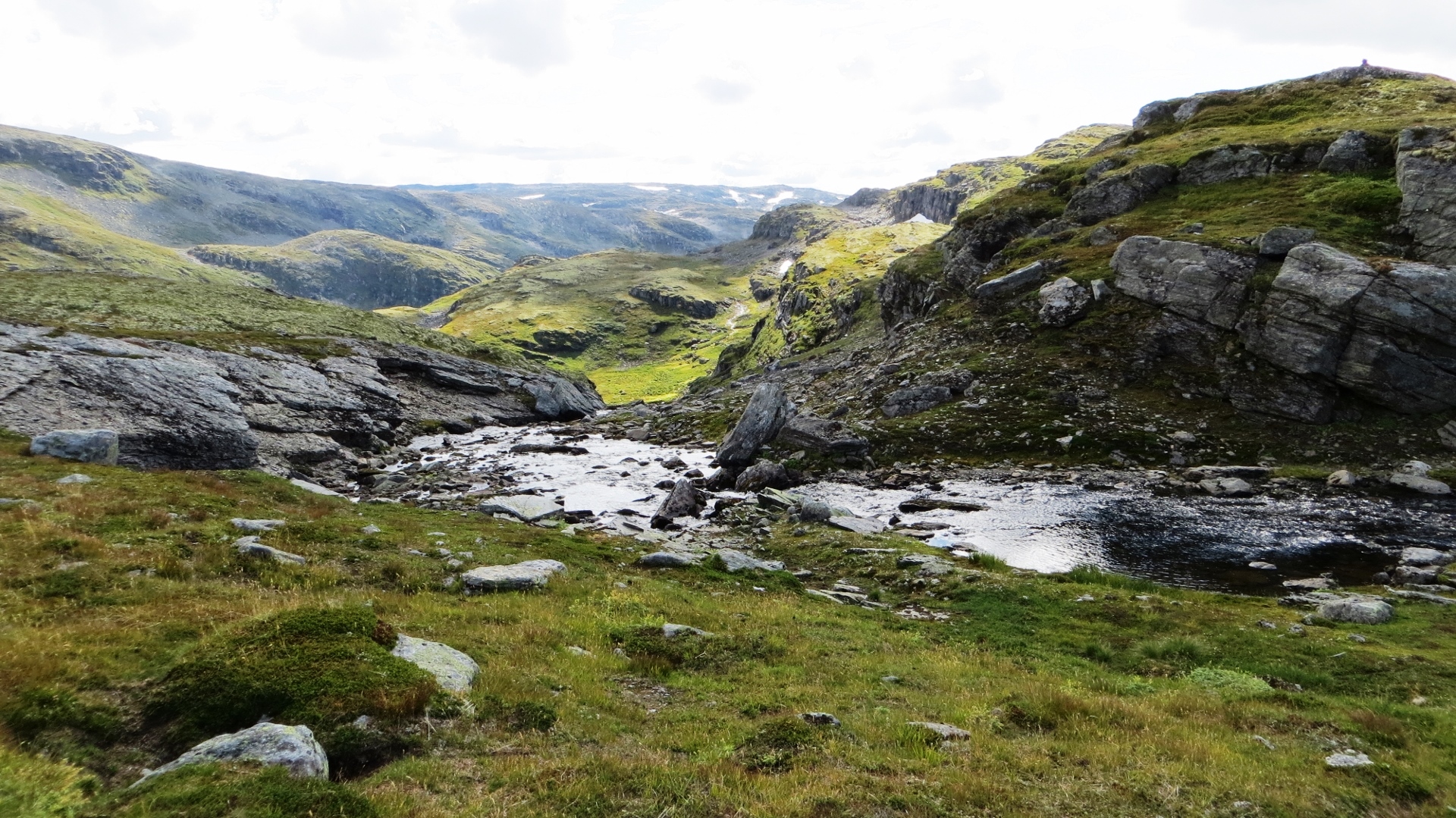 18.08.14 Bestebakken Bergen 17