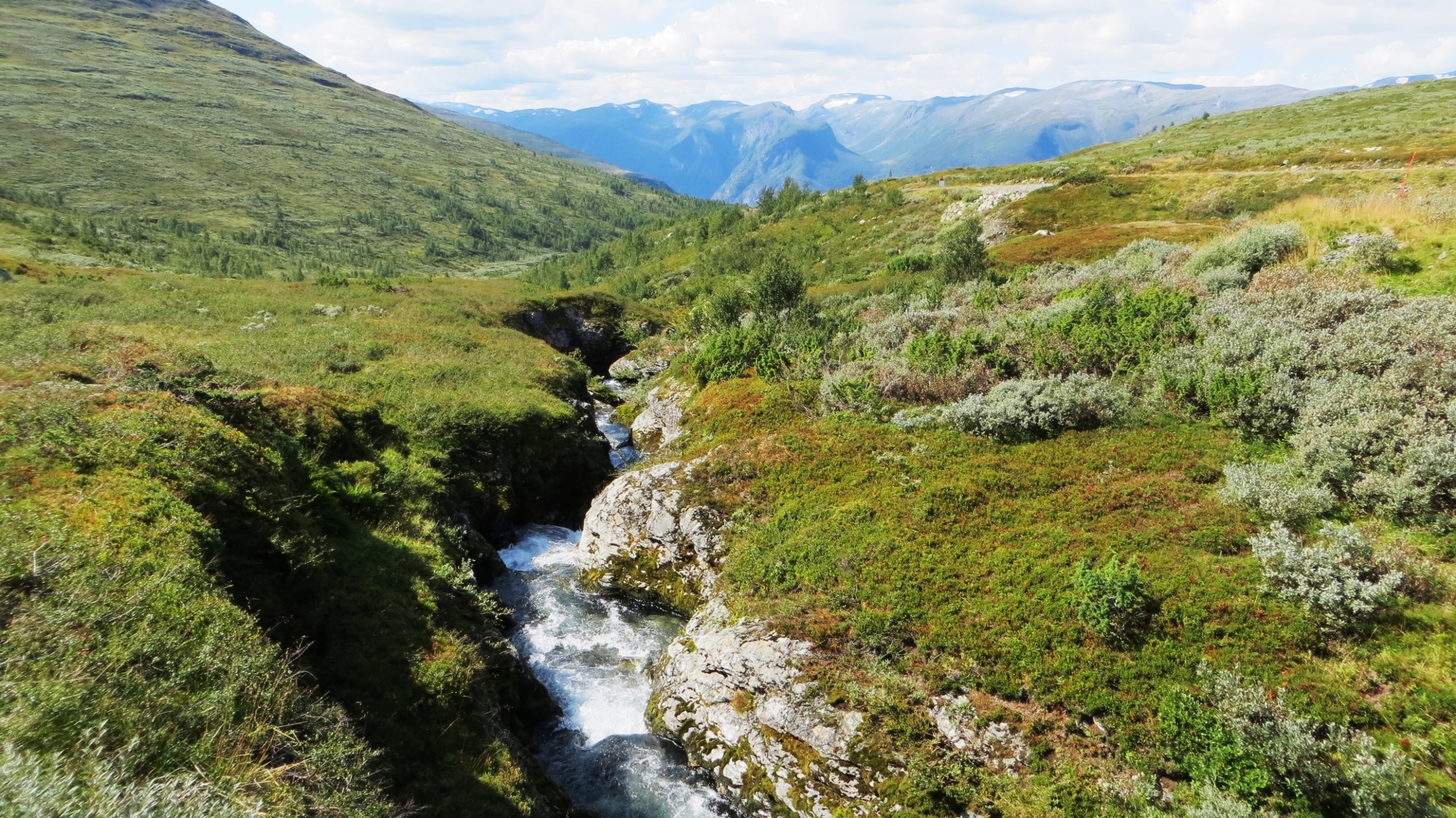 18.08.14 Bestebakken Bergen 27