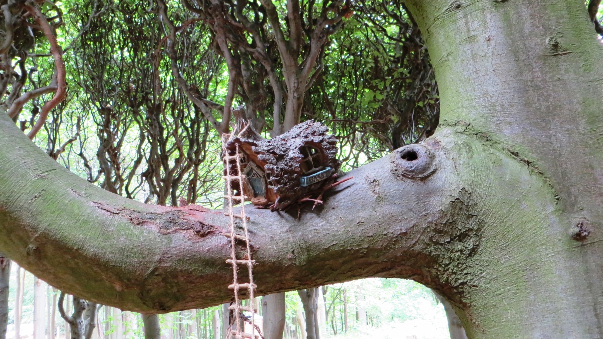 18.08.18 Sofiero Gardens Kronborg Castle 20