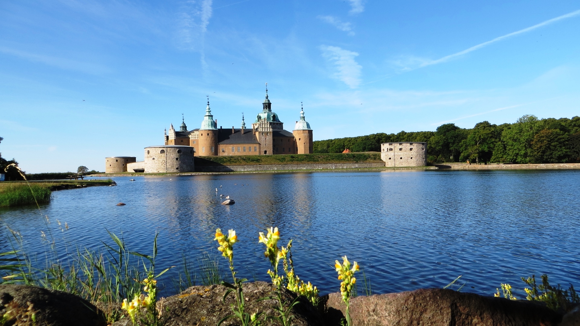 18.08.21 Kalmar Glasriket´s Moose Park Linköping 03