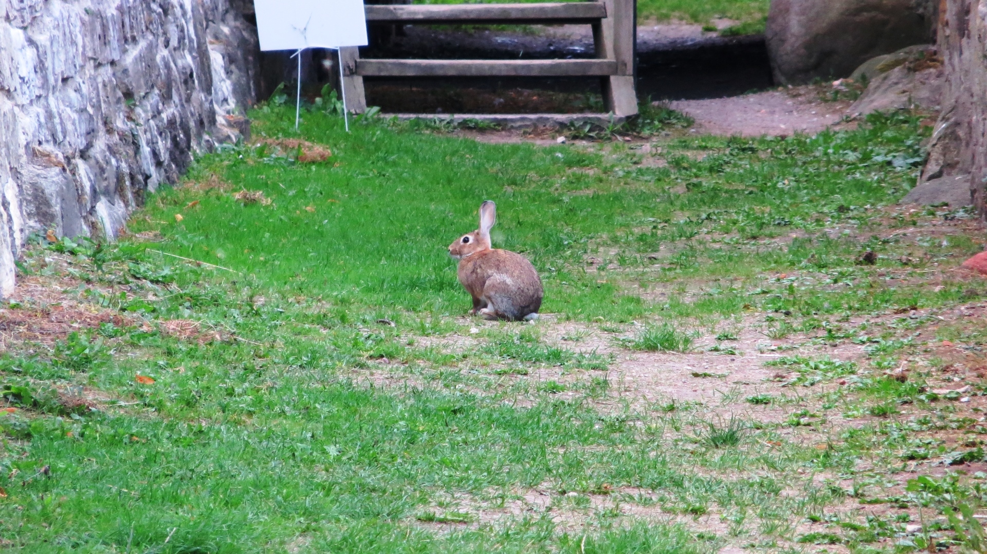 18.08.21 Kalmar Glasriket´s Moose Park Linköping 13